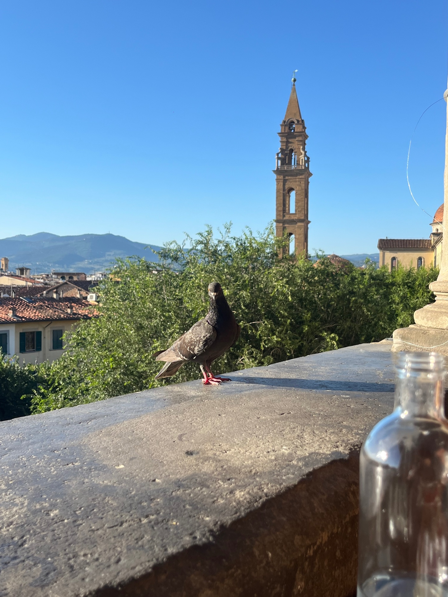 Loggia Rooftop Bar